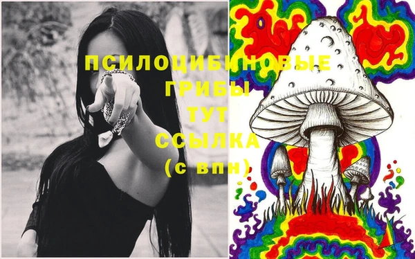 спайс Горно-Алтайск