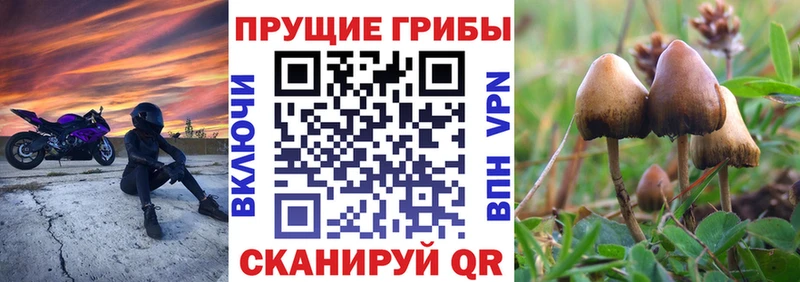Галлюциногенные грибы мицелий Красногорск